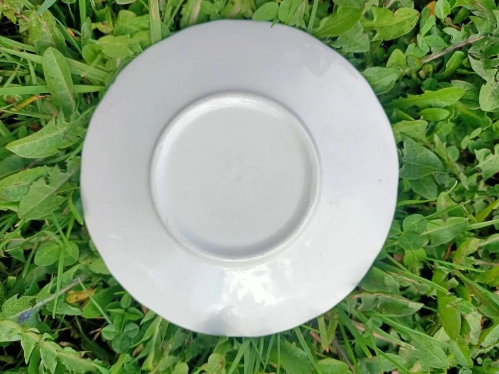 Ensemble de 4 Tasses rétro