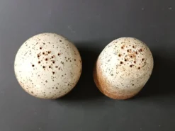 Ensemble en grès poivrier et salière Poterie des Flandres 1970