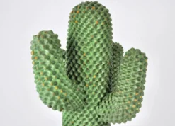 1er Porte-manteau Cactus par Guido Drocco et Franco Mello pour Gufram, 1968