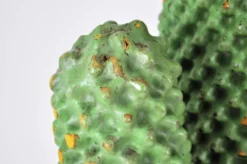 1er Porte-manteau Cactus par Guido Drocco et Franco Mello pour Gufram, 1968