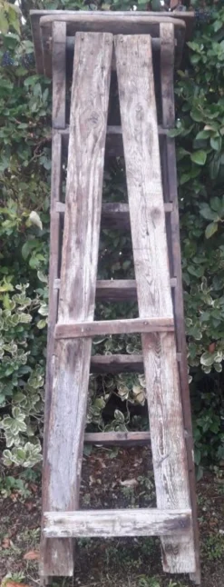 Escabeau artisan bois 6 marches