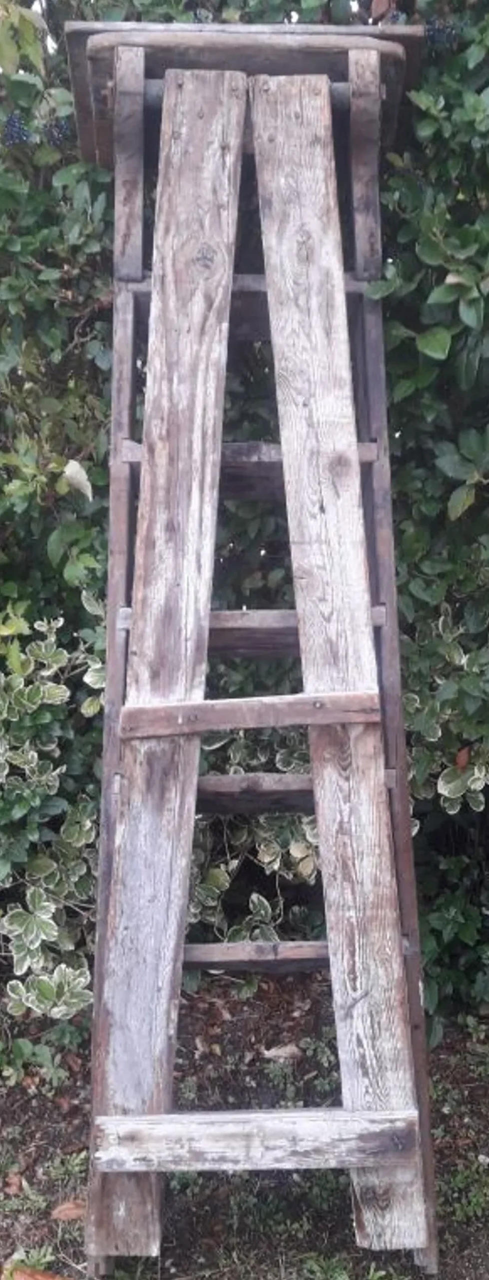 Escabeau artisan bois 6 marches