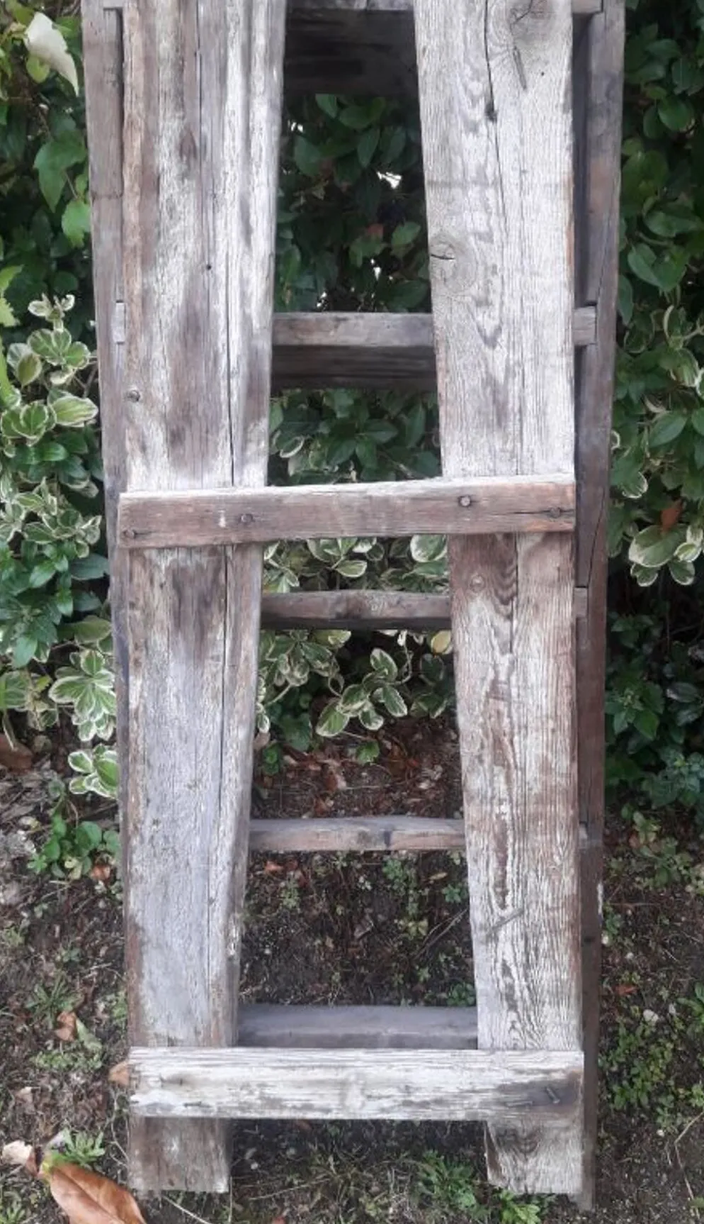 Escabeau artisan bois 6 marches