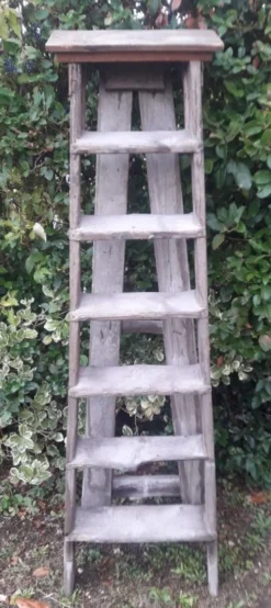 Escabeau artisan bois 6 marches