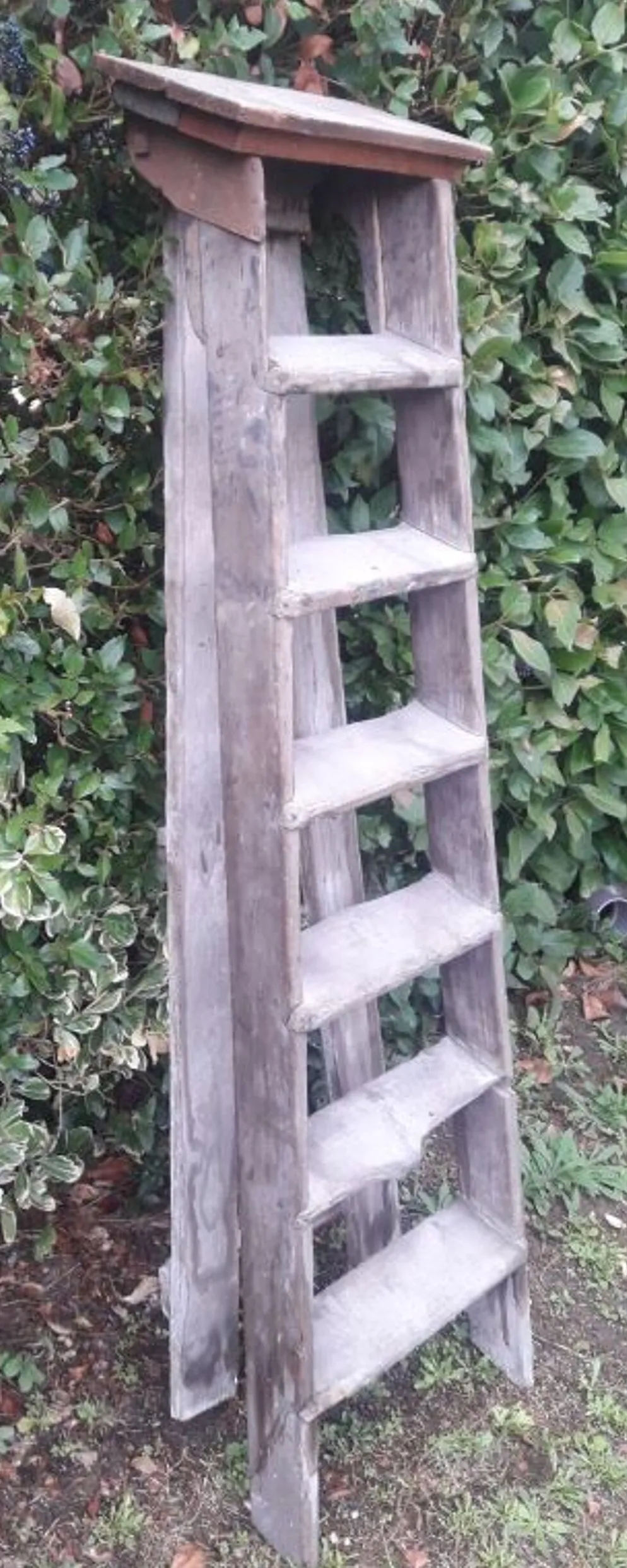 Escabeau artisan bois 6 marches