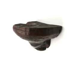 Etagère murale champignon naturel en bois foncé, années 70