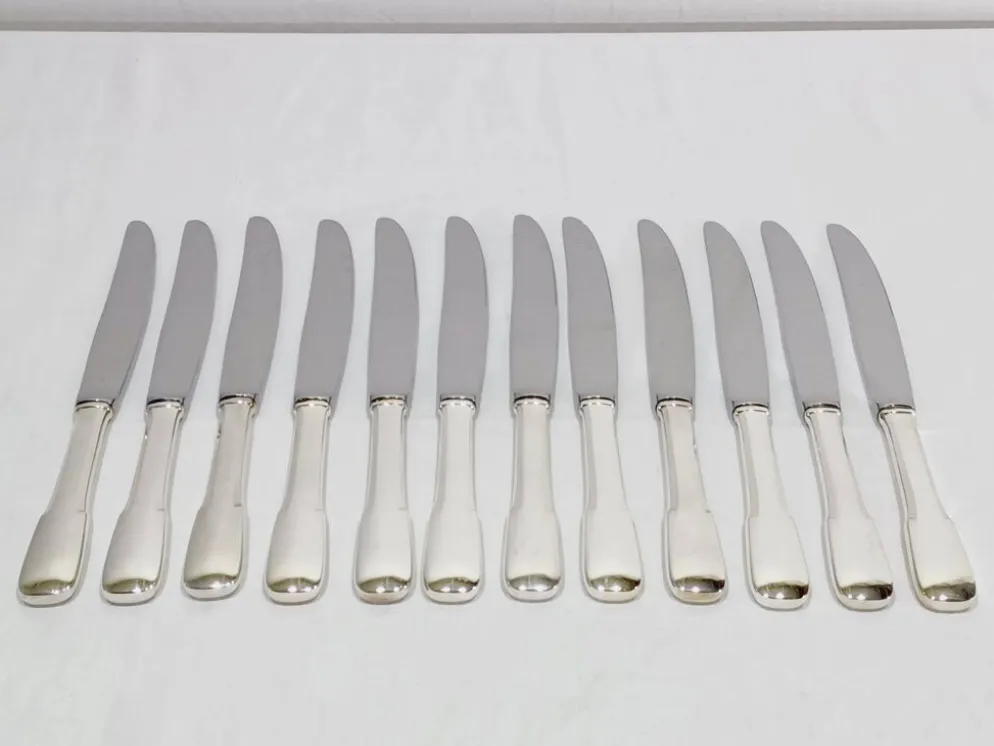 Europ - 12 Couteaux en métal argenté Uniplat