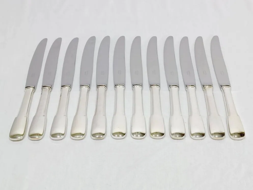 Europ - 12 Couteaux en métal argenté Uniplat
