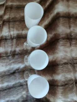 4 flûtes à champagne blanches