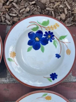 Gien - serie de 6 assiettes creuses - modèle Tournefeuille