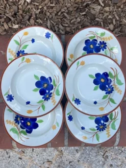 Gien - serie de 6 assiettes creuses - modèle Tournefeuille