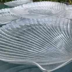 Grandes assiettes plates coquillage , Saint-Jacques