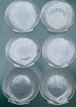 Grandes assiettes plates coquillage , Saint-Jacques