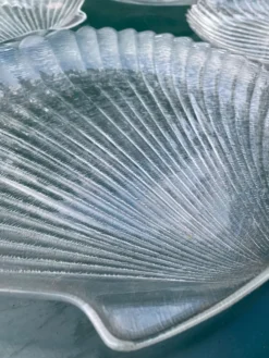 Grandes assiettes plates coquillage , Saint-Jacques