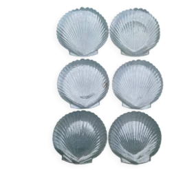 Grandes assiettes plates coquillage , Saint-Jacques