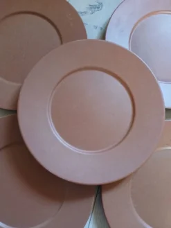 12 grandes assiettes plates Molin / Charolles