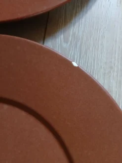 12 grandes assiettes plates Molin / Charolles