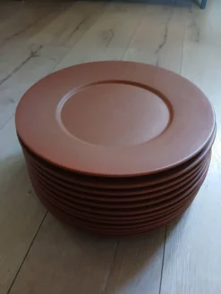 12 grandes assiettes plates Molin / Charolles