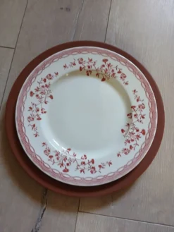 12 grandes assiettes plates Molin / Charolles