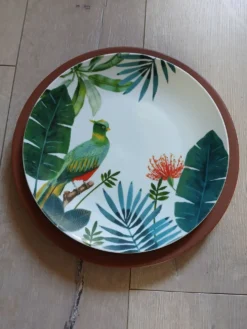 12 grandes assiettes plates Molin / Charolles