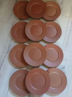 12 grandes assiettes plates Molin / Charolles