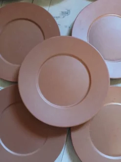 12 grandes assiettes plates Molin / Charolles