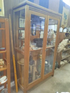 Grande Vitrine xxe siecle
