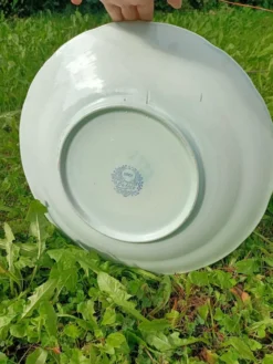 Grand plat ~ Boch