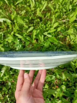 Grand plat ~ Boch