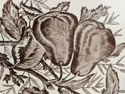 Grand plat ovale ancien Terre de Fer – décor pommes et insectes