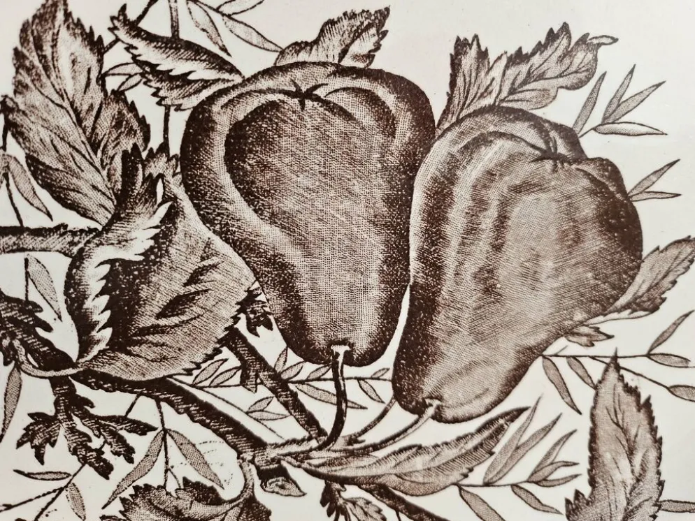 Grand plat ovale ancien Terre de Fer – décor pommes et insectes