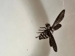 Grand plat ovale ancien Terre de Fer – décor pommes et insectes