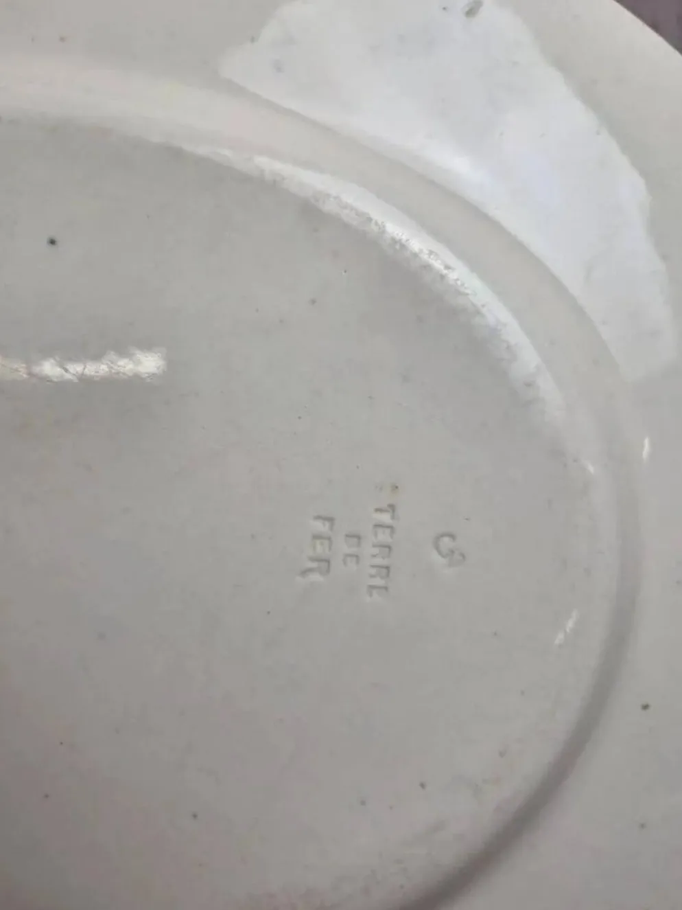 Grand plat ovale Terre de Fer Creil et Montereau Linotte – Xixe