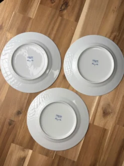 Haviland Limoges France lot 3 assiettes « Fruits d’Été » bord rouge bl