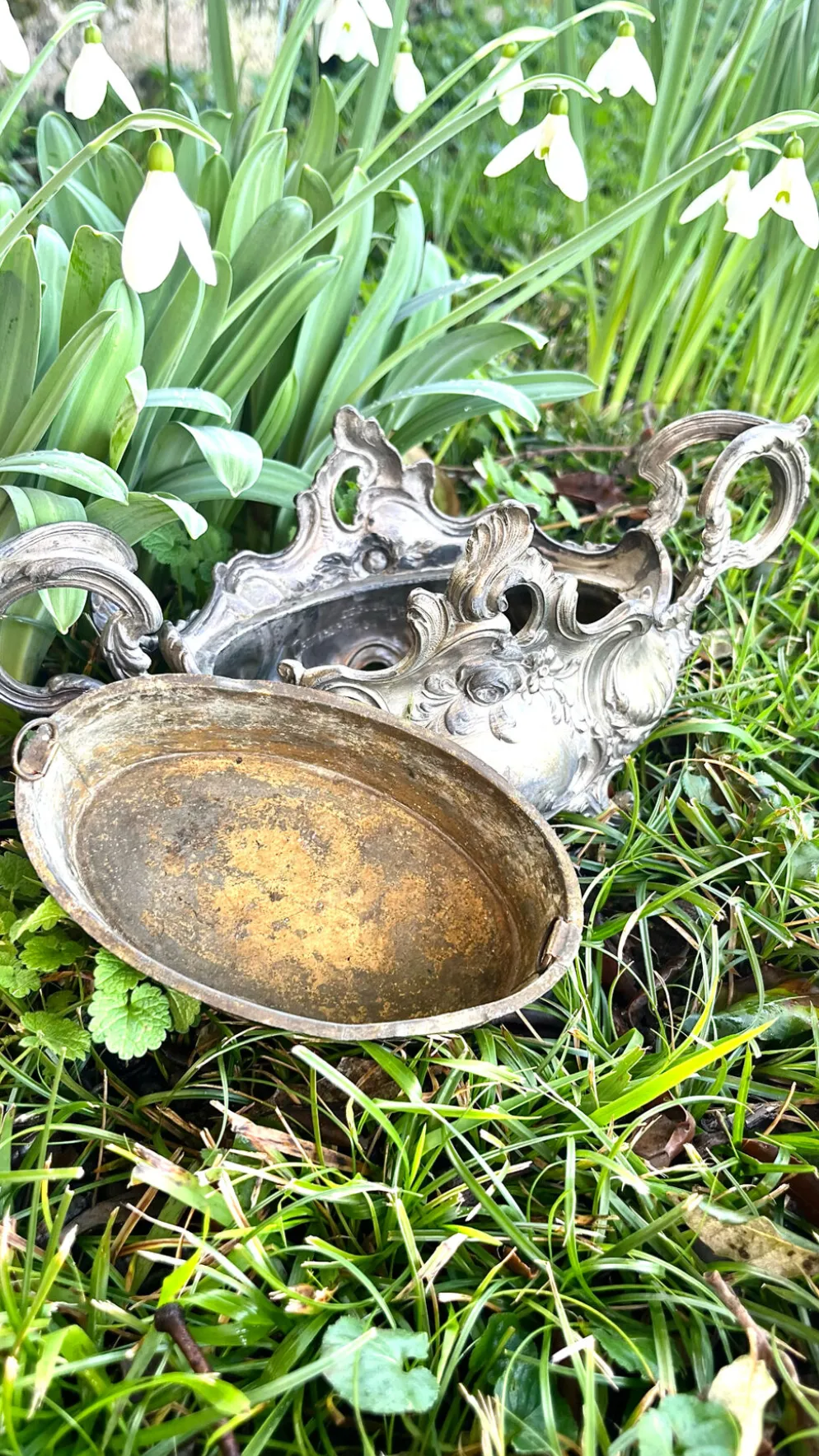 Jardinière en argent massif, centre de table Art Nouveau français