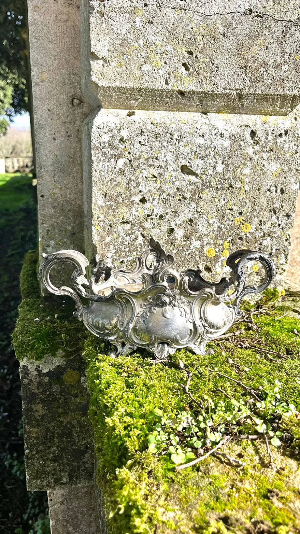 Jardinière en argent massif, centre de table Art Nouveau français