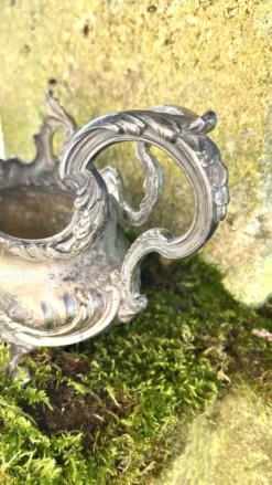 Jardinière en argent massif, centre de table Art Nouveau français