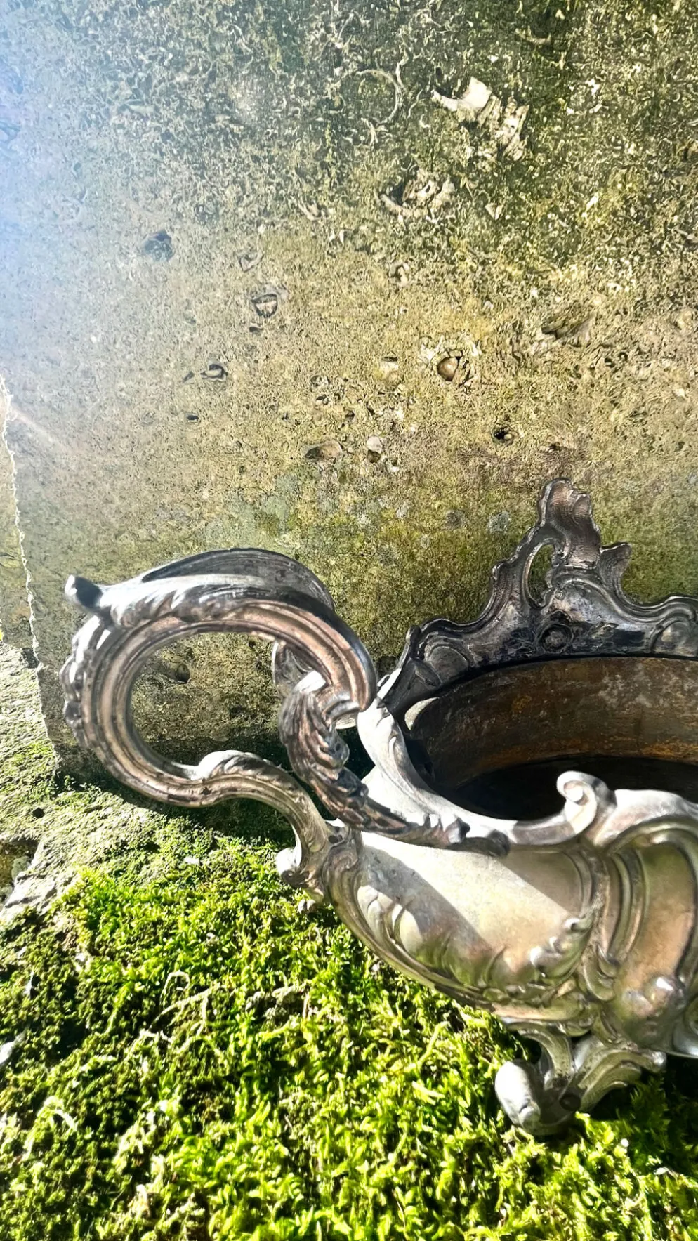 Jardinière en argent massif, centre de table Art Nouveau français