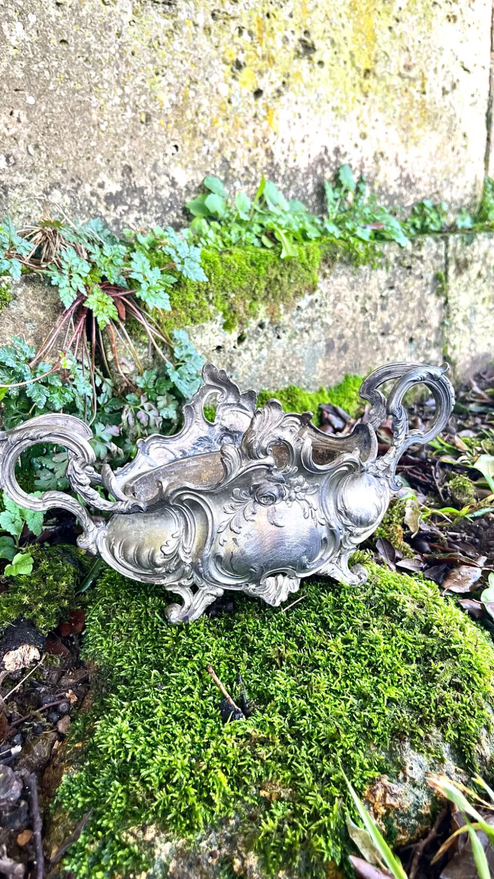 Jardinière en argent massif, centre de table Art Nouveau français