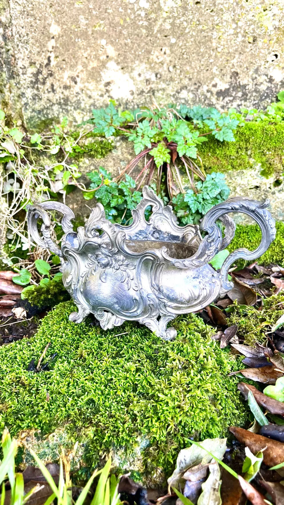 Jardinière en argent massif, centre de table Art Nouveau français