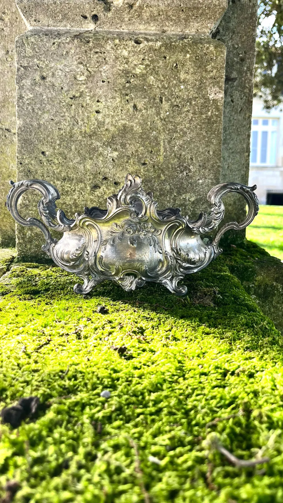 Jardinière en argent massif, centre de table Art Nouveau français