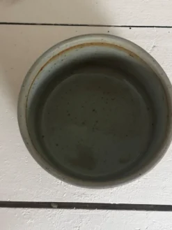 Joli beurrier à eau en grès couleur sable marron
