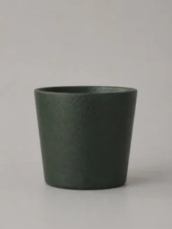 Kissul