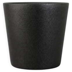 Kissul 
