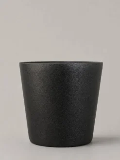 Kissul 