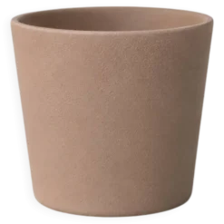 Kissul 