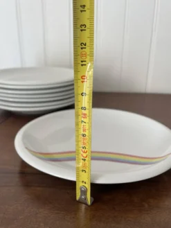 Lot 8 assiettes arc en ciel Tonika Kahla