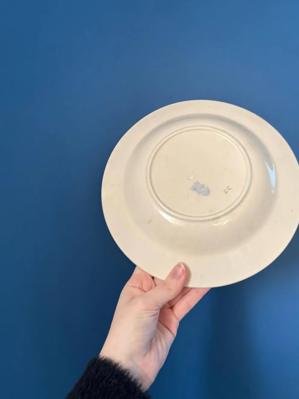 Lot 6 assiettes creuses Badonviller vintage – faïence française décor
