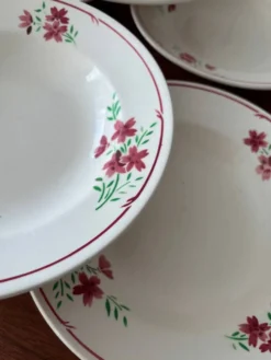 Lot 6 assiettes creuses Badonviller vintage – faïence française décor
