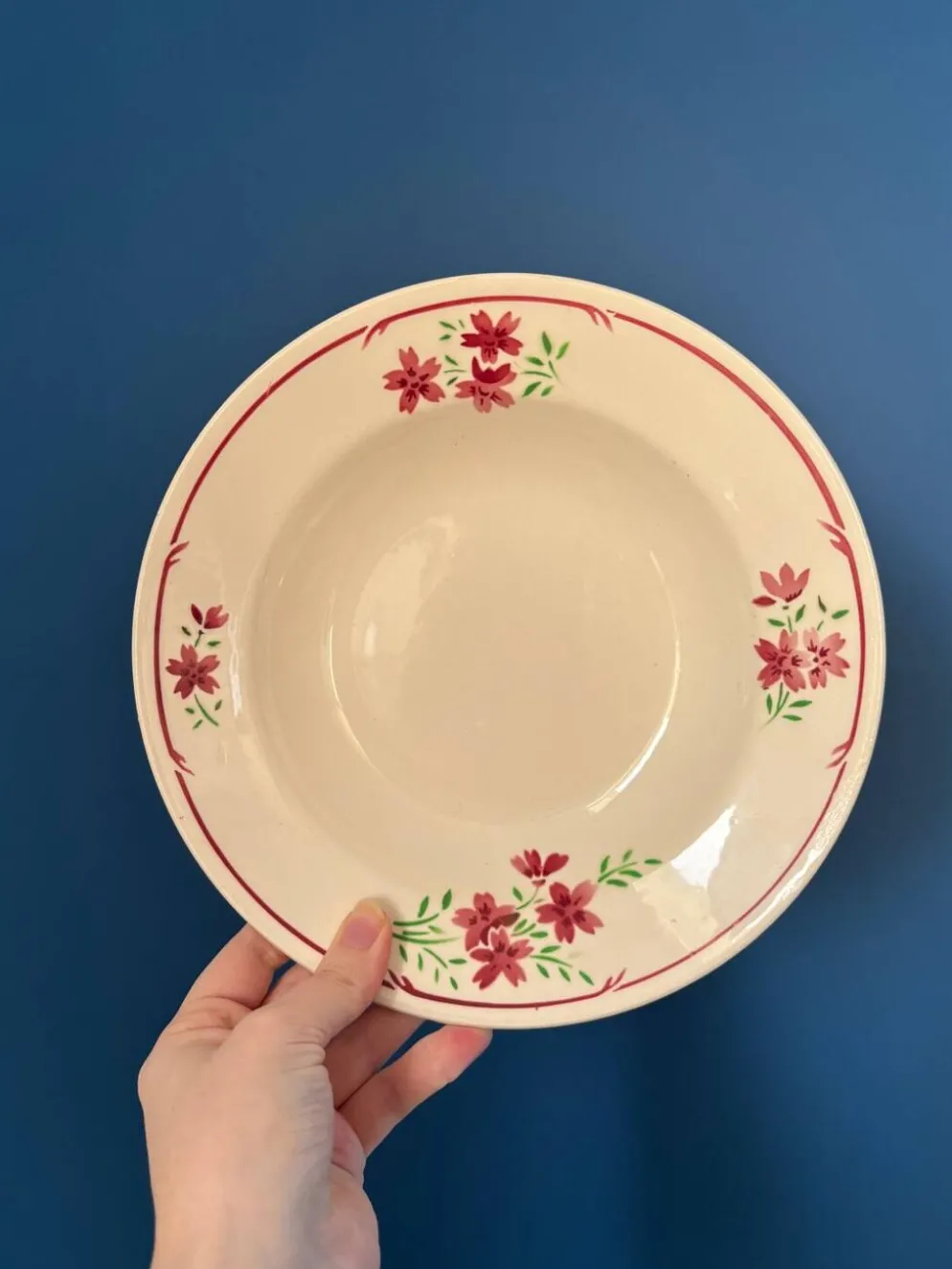 Lot 6 assiettes creuses Badonviller vintage – faïence française décor